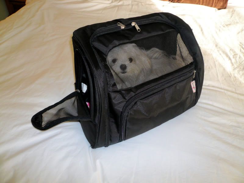 DooLittle004.jpg